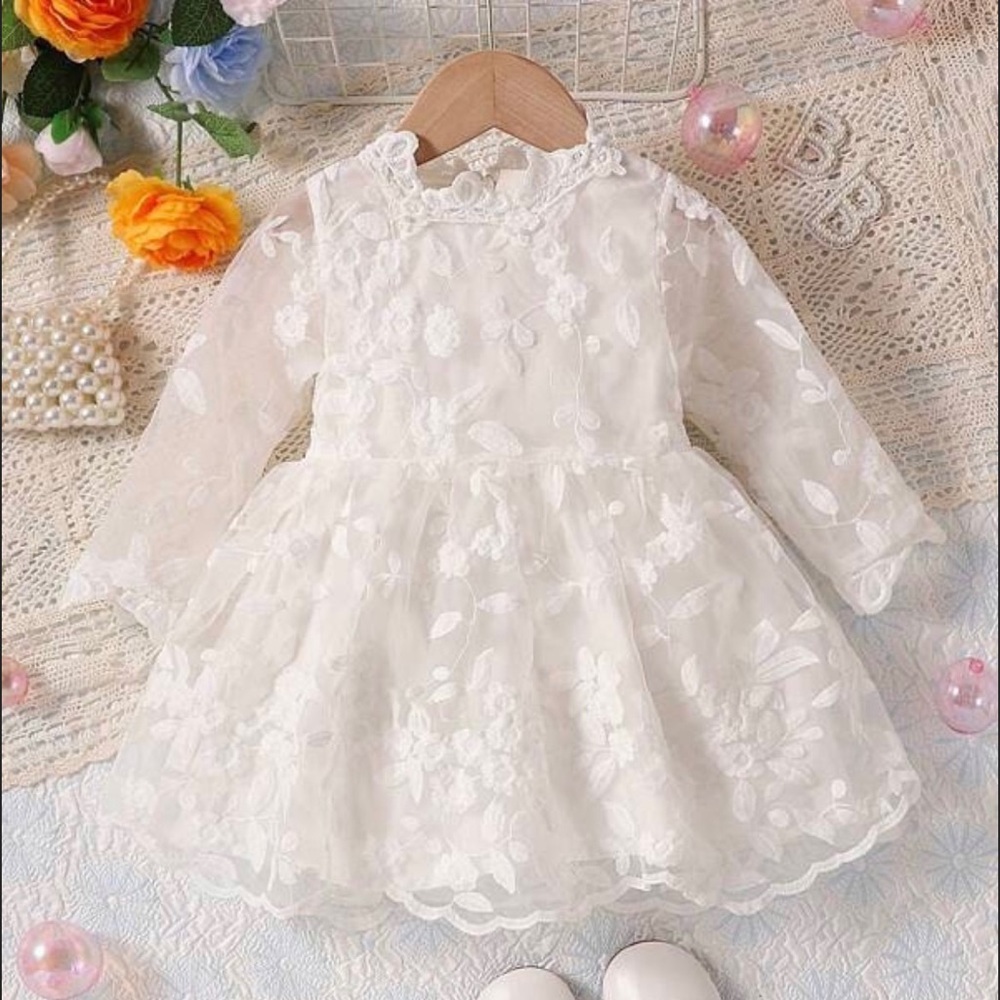 Baby sheer White embroidered long sleeve dress 12-18 M